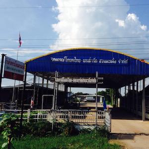 สหกรณ์โคนมไทย เดนมาร์คสวนมะเดื่อ จำกัด logo