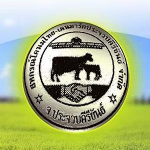 สหกรณ์โคนมไทย เดนมาร์คประจวบคีรีขันธ์ จำกัด logo